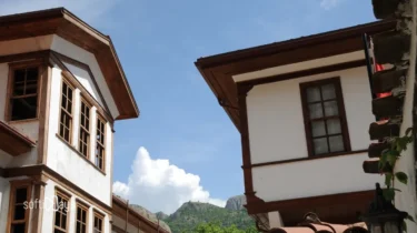 Performans ve SEO İçin Görsel Optimizasyonu Rehberi